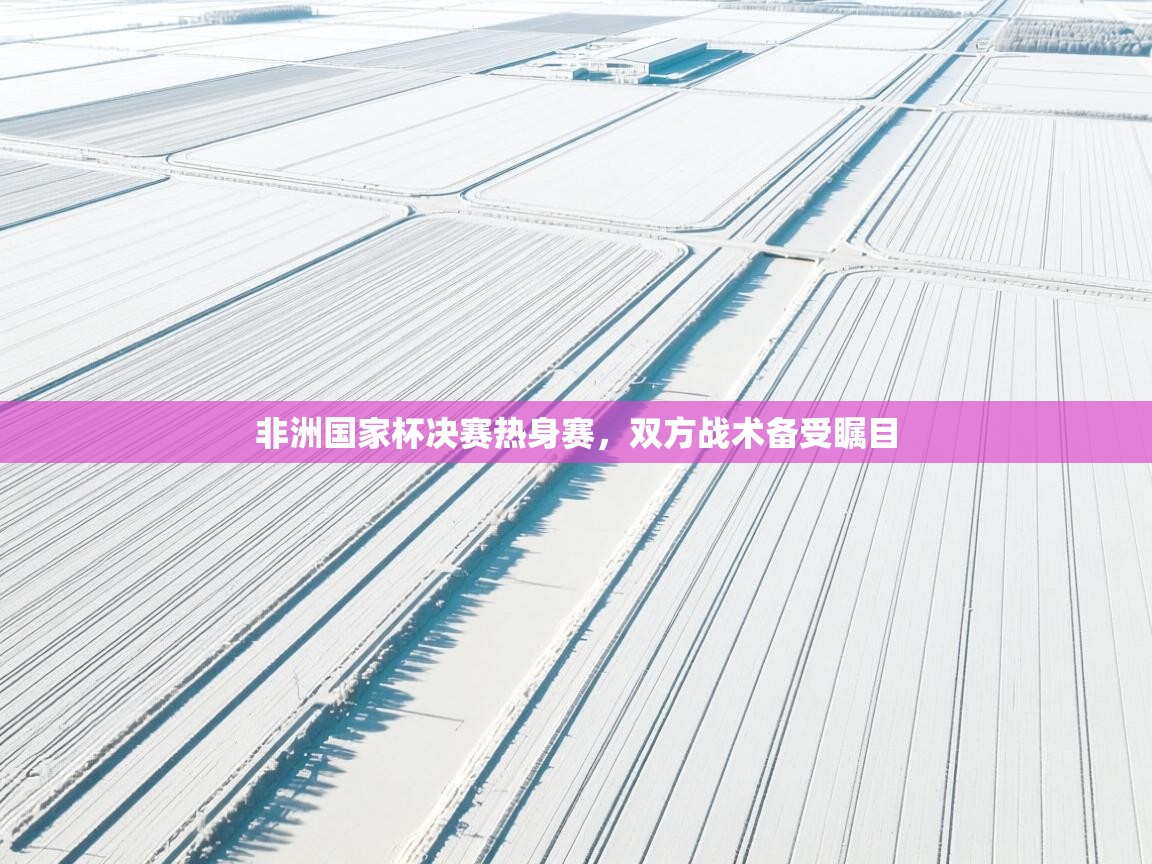 非洲国家杯决赛热身赛，双方战术备受瞩目  第2张